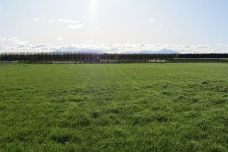 Photo of property in 18 Westview Drive, Tinwald, Ashburton, 7700