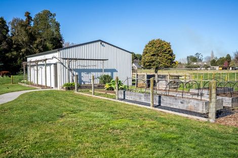 Photo of property in 47 Rosebanks Drive, Tamahere, Hamilton, 3283