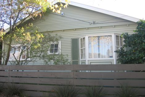 Photo of property in 133 Kings Crescent, Hutt Central, Lower Hutt, 5010