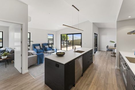 Photo of property in 29 Hart Road, Richmond, 7020