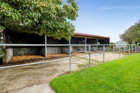 Photo of property in 121 Warwick Road, Stratford, 4391