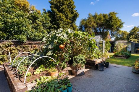 Photo of property in 16 Mudgway Place, Awapuni, Palmerston North, 4412