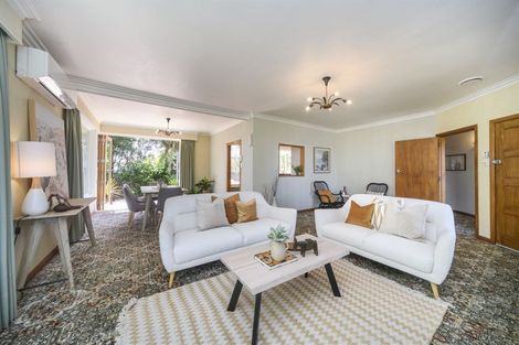 Photo of property in 41 Richmond Avenue, Takaro, Palmerston North, 4410