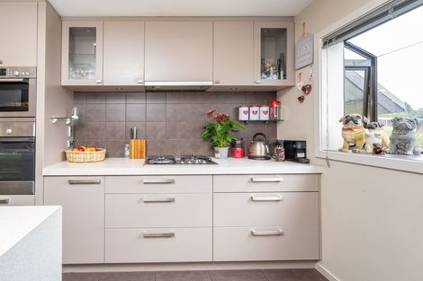 Photo of property in 46 Kinmont Crescent, Kinmont Park, Mosgiel, 9024