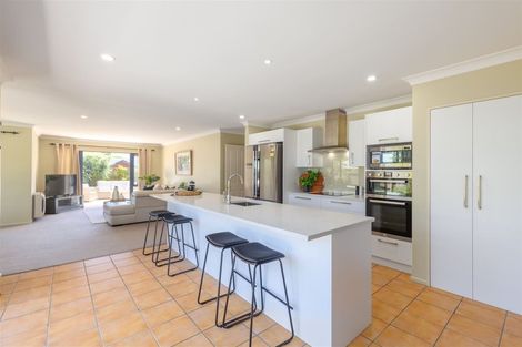 Photo of property in 4 Electra Place, Wigram, Christchurch, 8042