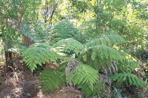 Photo of property in 20 Russell Street, Picton, 7220