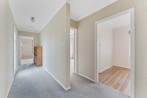 Photo of property in 81 Bartholomew Road, Levin, 5510