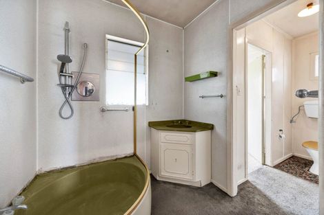 Photo of property in 6 Elsinore Street, Stratford, 4332