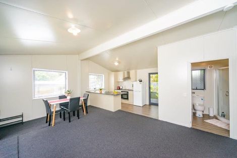 Photo of property in 62 Newcastle Street, Hokowhitu, Palmerston North, 4410
