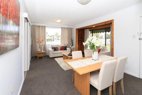 Photo of property in 317a Cobham Drive, Hillcrest, Hamilton, 3216