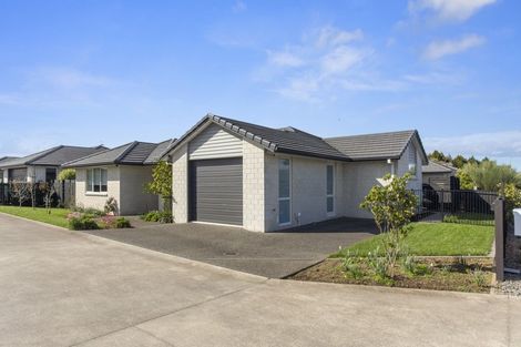 Photo of property in 10 Long Acre Close, Katikati, 3129