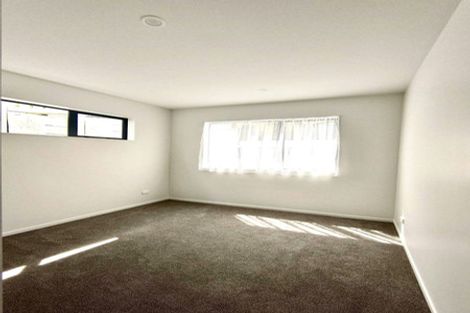 Photo of property in 13b Morton Avenue, Forrest Hill, Auckland, 0620