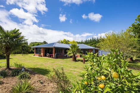 Photo of property in 420 Foxton Shannon Road, Foxton, 4893