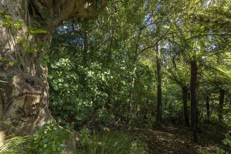 Photo of property in 17 Lewer Road, Whangaroa, Kaeo, 0478