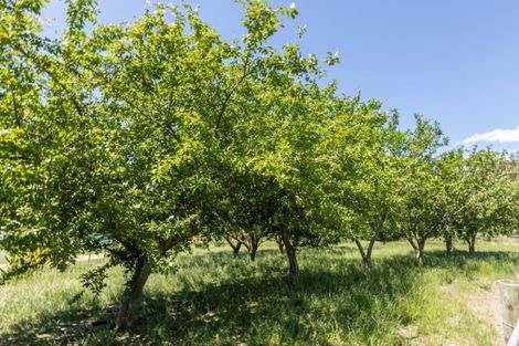 Photo of property in 1212 Ohiti Road, Crownthorpe, Hastings, 4179