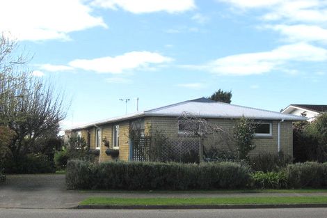 Photo of property in 45 Kennedy Drive, Levin, 5510