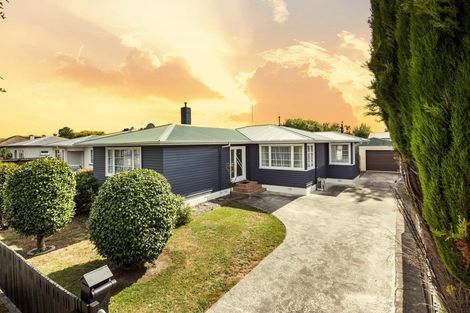 Photo of property in 17 Botanical Road, Takaro, Palmerston North, 4412