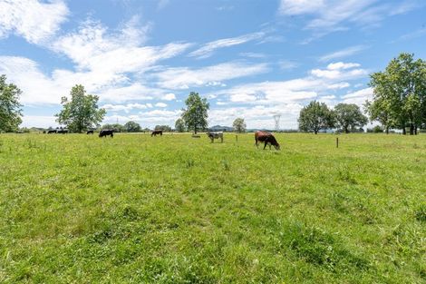 Photo of property in 77 Lee Martin Road, Tamahere, Cambridge, 3493