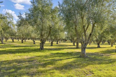 Photo of property in 327 Georges Road, Glasnevin, Amberley, 7482