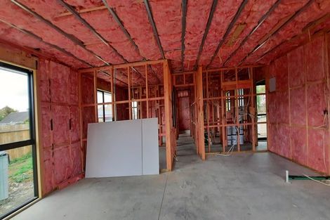 Photo of property in 84 Hinemoa Street, Levin, 5510