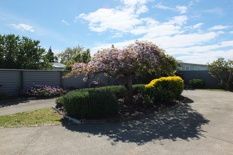 Photo of property in 24b Park Street, Foxton, 4814