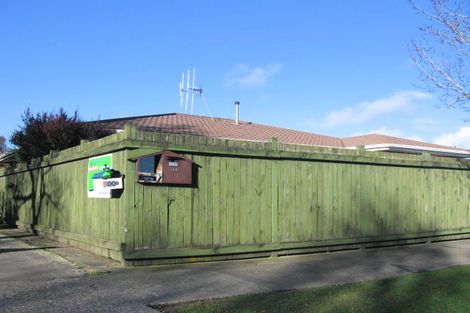Photo of property in 300 Tremaine Avenue, Takaro, Palmerston North, 4412