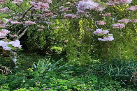 Photo of property in 44 Manchester Street, Bradford, Dunedin, 9011