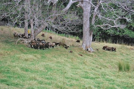 Photo of property in 76 Spindler Road, Wellsford, 0972