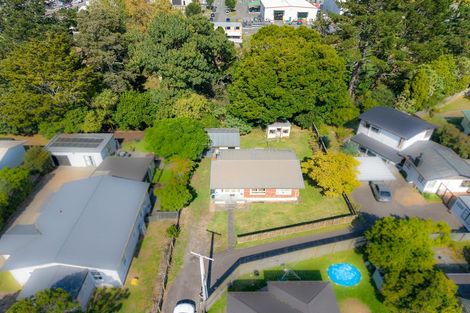 Photo of property in 105 Rimu Street, Maeroa, Hamilton, 3200