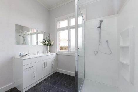 Photo of property in 53 Limbrick Street, Terrace End, Palmerston North, 4410