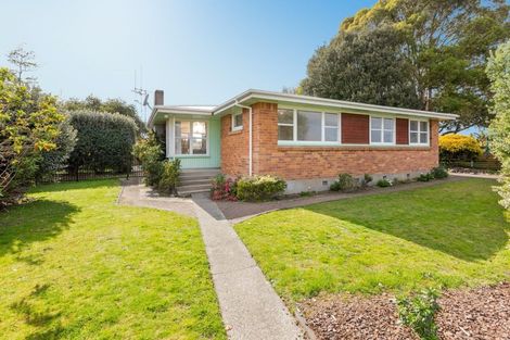 Photo of property in 17 Epsom Road, Mount Maunganui, 3116