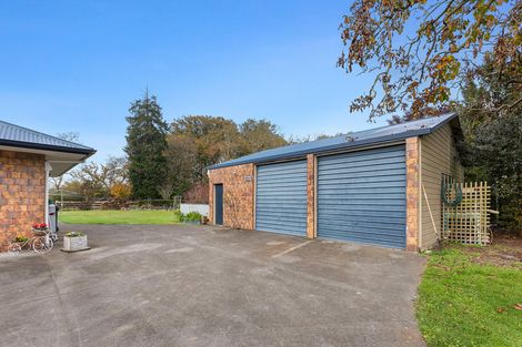 Photo of property in 81d Horrell Road, Morrinsville, 3374