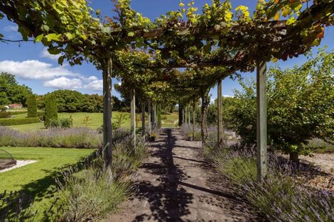 Photo of property in 323 Plummers Point Road, Whakamarama, Tauranga, 3172