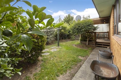 Photo of property in 6 Barratt Street, Blenheim, 7201