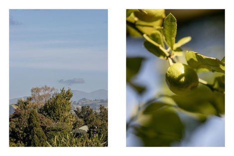 Photo of property in 15b Ruahine Street, Ohauiti, Tauranga, 3112