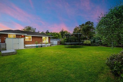 Photo of property in 23 Lucinda Place, Glen Eden, Auckland, 0602
