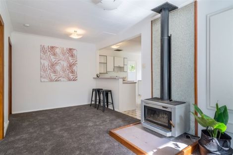 Photo of property in 58 Manchester Street, Bradford, Dunedin, 9011