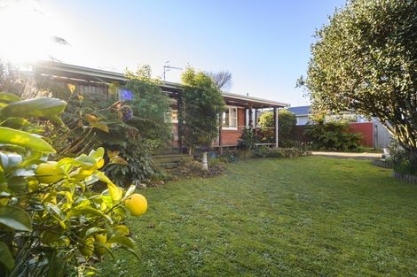 Photo of property in 8 Conway Place, Terrace End, Palmerston North, 4410