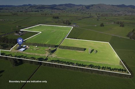 Photo of property in 6716 State Highway 2, Netherton, Paeroa, 3671
