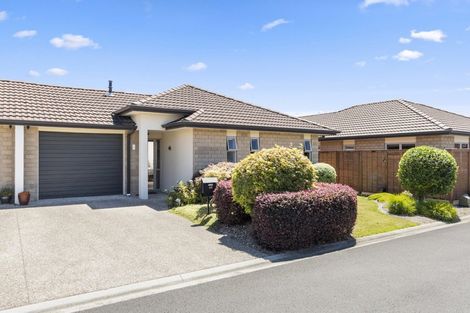 Photo of property in 46 Havenbrook Way, Pyes Pa, Tauranga, 3112