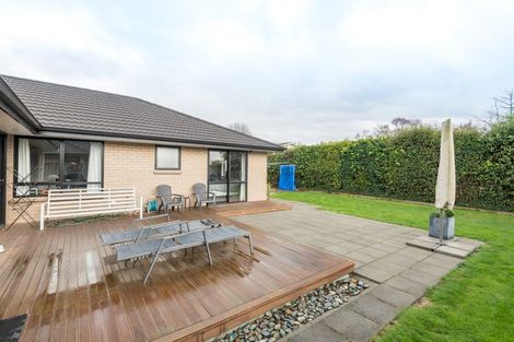 Photo of property in 38 Taranaki Place, Richmond, 7020