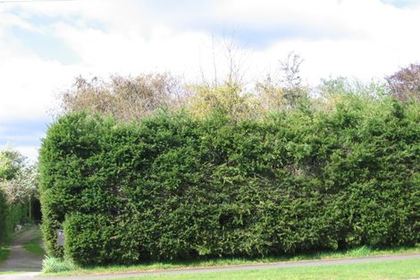 Photo of property in 199 Taharepa Road, Tauhara, Taupo, 3330