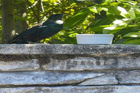 Photo of property in 11 Cotter Avenue, Arrowtown, 9302