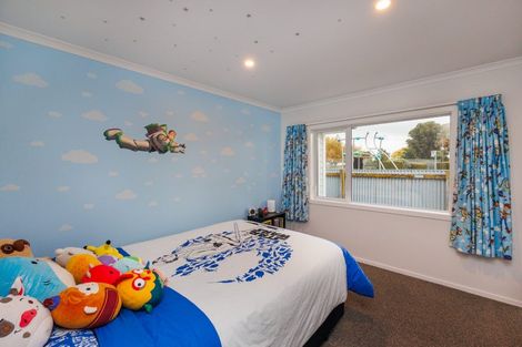 Photo of property in 16a Newbury Street, Awapuni, Palmerston North, 4412