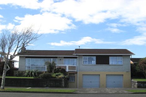 Photo of property in 53 Kennedy Drive, Levin, 5510