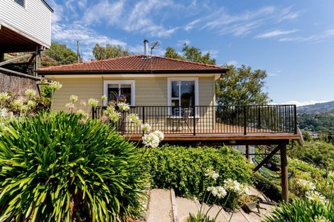 Photo of property in 141 Evans Street, Opoho, Dunedin, 9010