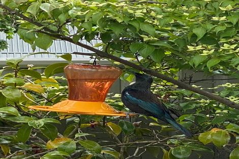 Photo of property in 62 Adamson Drive, Arrowtown, 9302