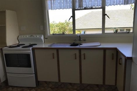 Photo of property in 5 Leven Street, Roslyn, Dunedin, 9010