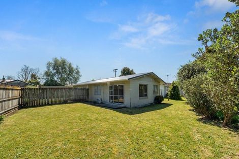 Photo of property in 91a Rimu Street, Maeroa, Hamilton, 3200