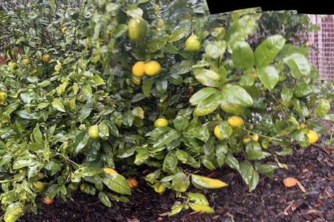 Photo of property in 8a Copeland Street, Hutt Central, Lower Hutt, 5011